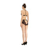 DSTM Mantis Bra / Sheer-Lingerie-DSTM-Leigh Kelley Skin Studio Best Facialist Hudson Valley Kingston New York