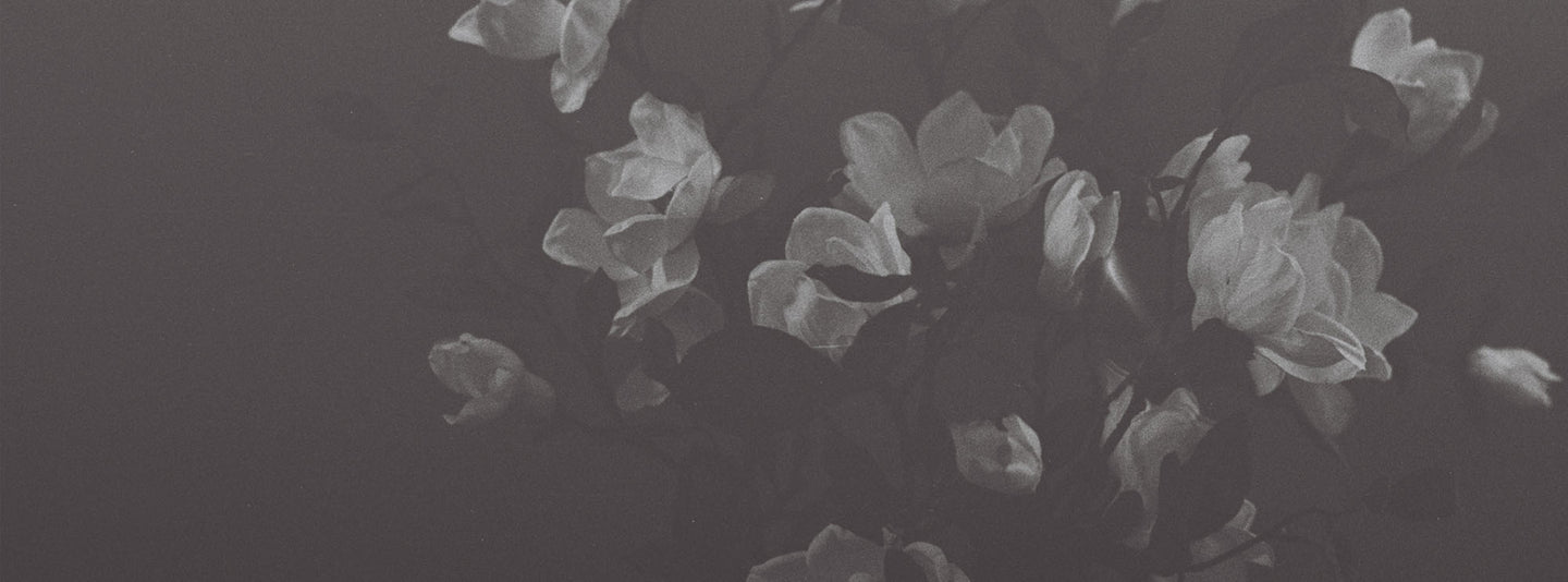 black and white image of a floral arrangement