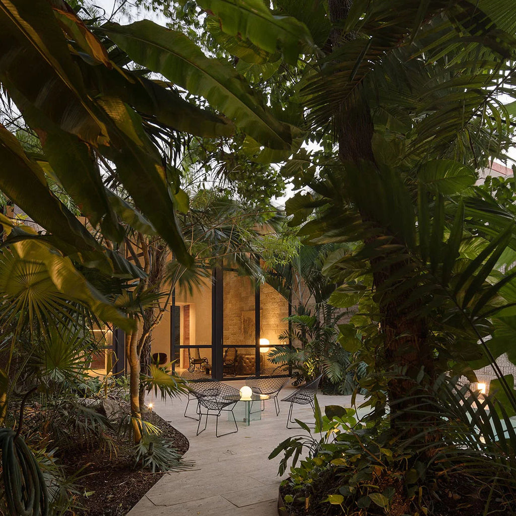 ARQUISTE TROPICAL Eau de Parfum-Perfume & Cologne-Arquiste-Leigh Kelley Skin Studio