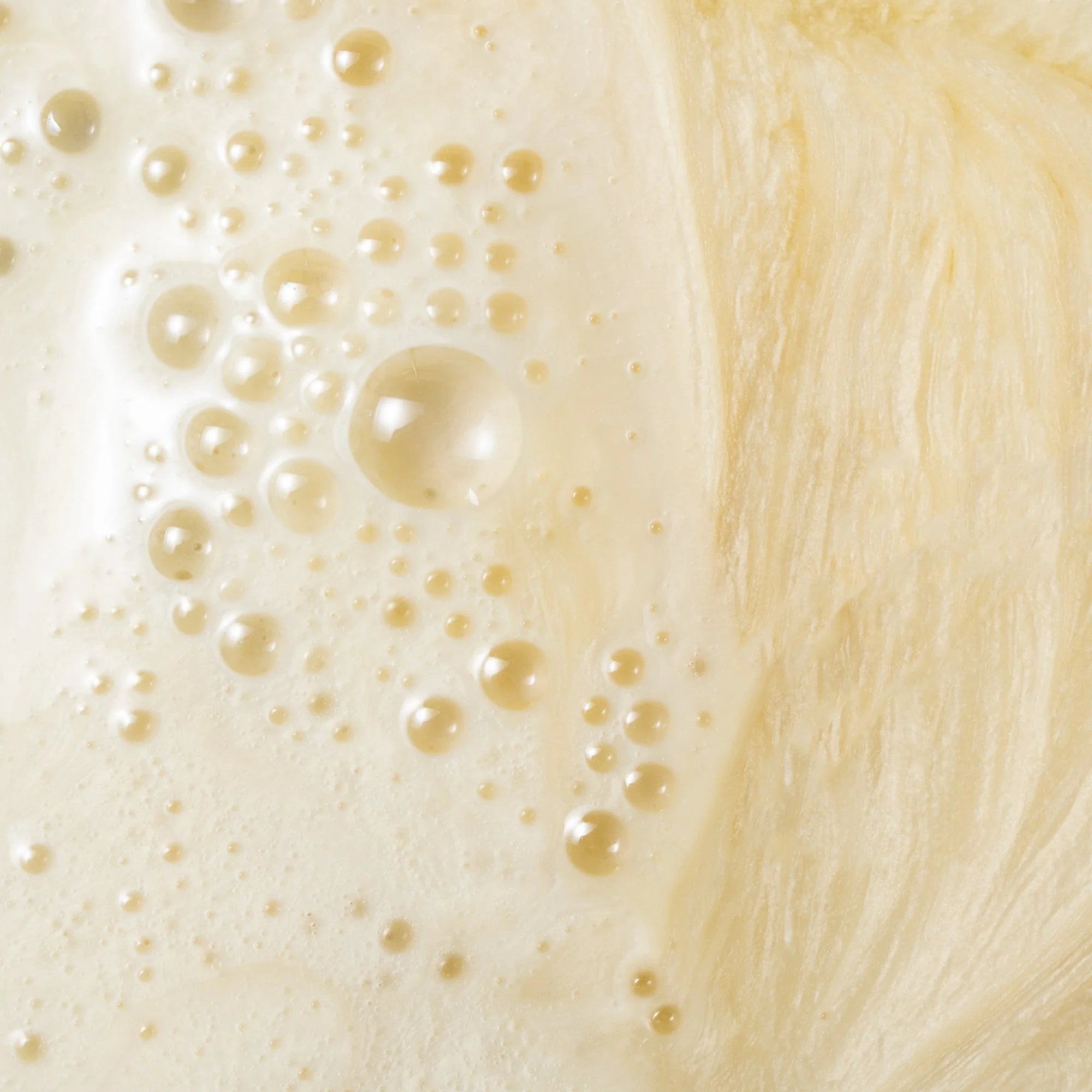 COSMEDIX RX Clean Exfoliating Cleanser-Facial Cleansers-CosMedix-Leigh Kelley Skin Studio Best Facialist Hudson Valley Kingston New York