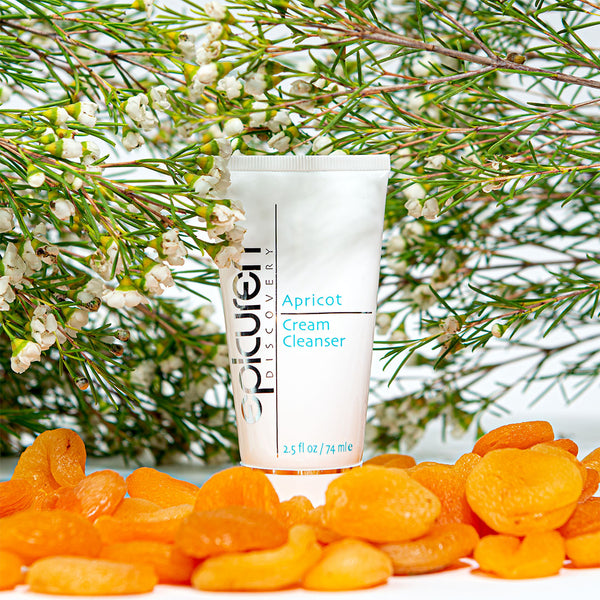 apricots spread on top of Epicuren Apricot Cream Cleanser
