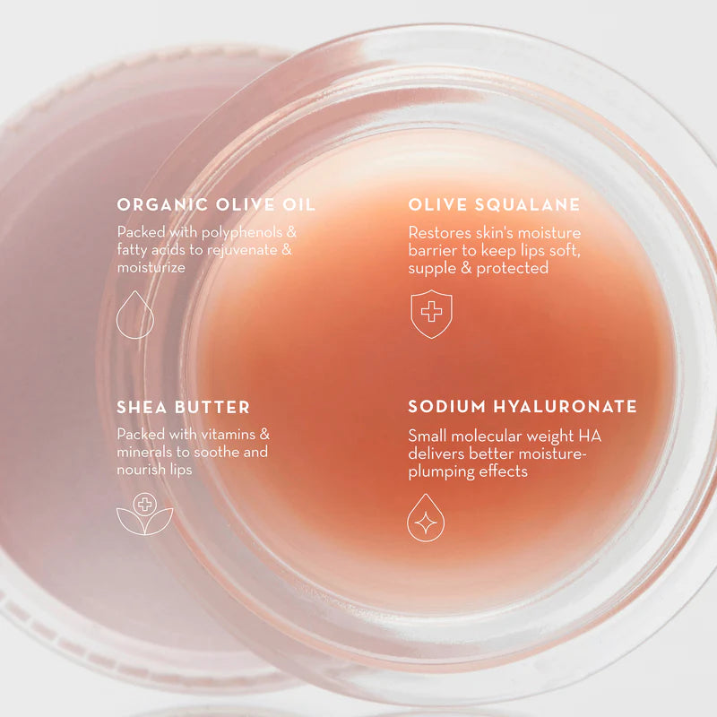 Furtuna Olive Lip Butter Balm-Lip Balms & Treatments-Furtuna-Leigh Kelley Skin Studio