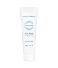 OxygenCeuticals Pore Mask Cleansing Foam-Facial Cleansers-OxygenCeuticals-1 oz-Leigh Kelley Skin Studio