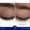 augustinus bader the lash eyebrow enhancing serum before and after results on lashes